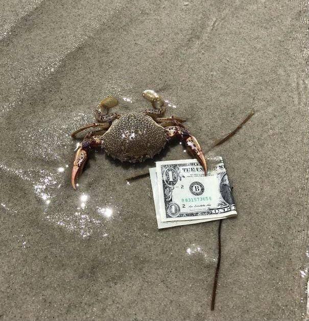 Acid Picdump 1 (84 pics)