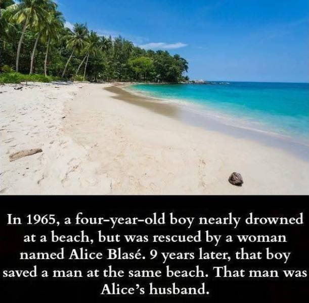 Acid Picdump 1 (84 pics)