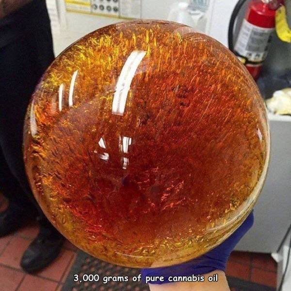 Acid Picdump 1 (84 pics)