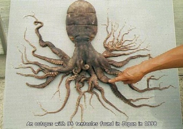 Acid Picdump 1 (84 pics)