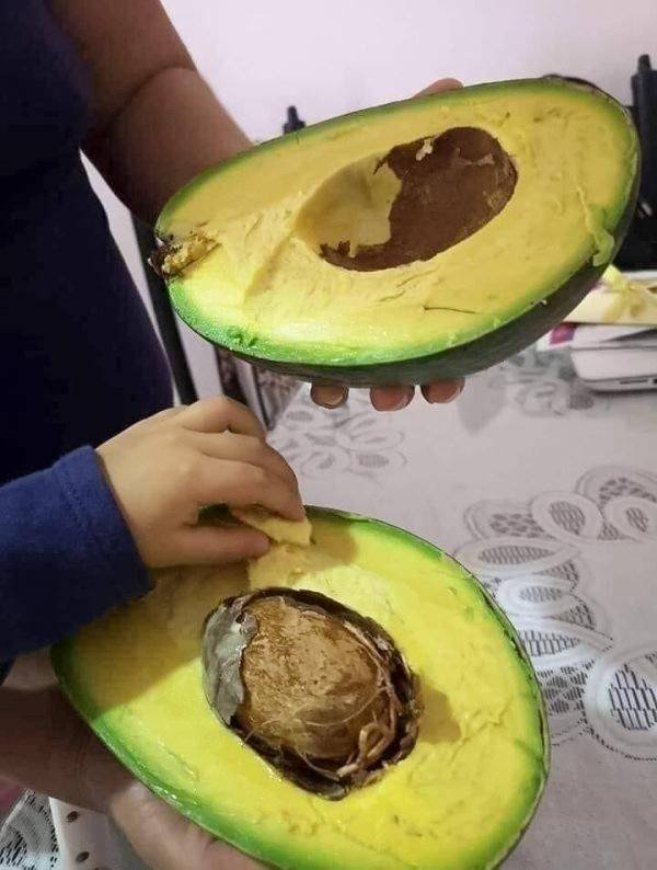 Acid Picdump 1 (84 pics)