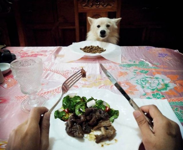 Acid Picdump 1 (84 pics)
