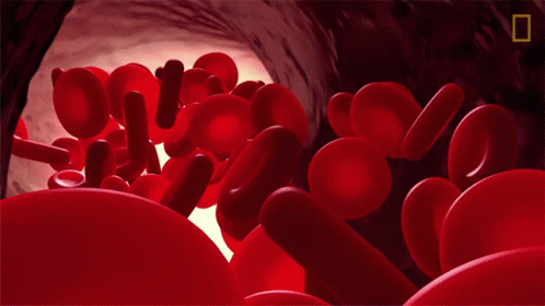 Human Body Facts (17 pics)