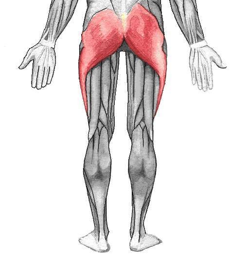 Human Body Facts (17 pics)