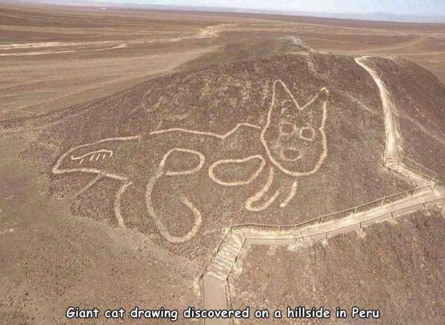 Acid Picdump 2 (82 pics)