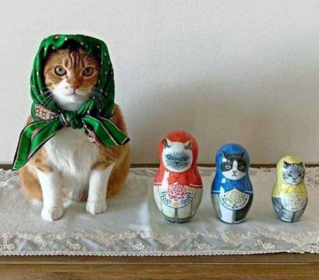 Acid Picdump 2 (82 pics)