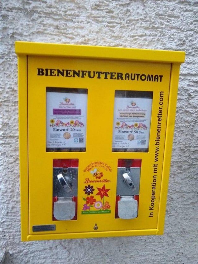 Life In Germany (24 pics)