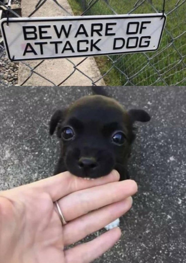 Almost Nailed It (44 pics)