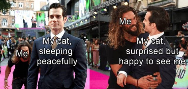 Wholesome Memes (28 pics)