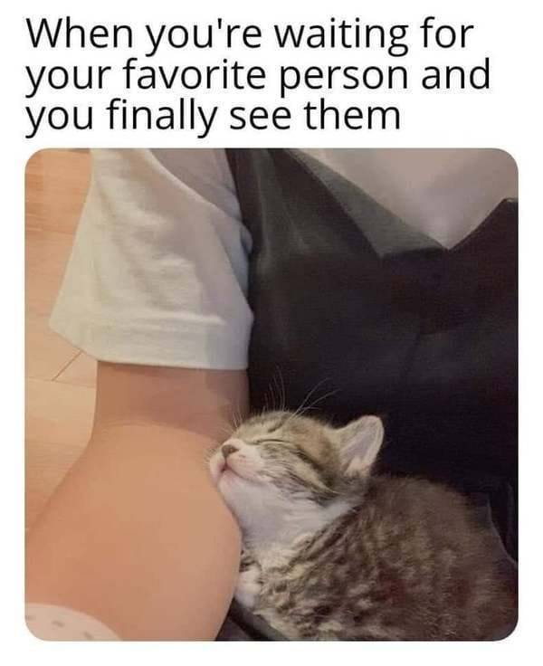 Wholesome Memes (28 pics)