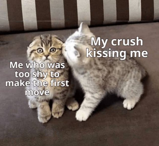 Wholesome Memes (28 pics)