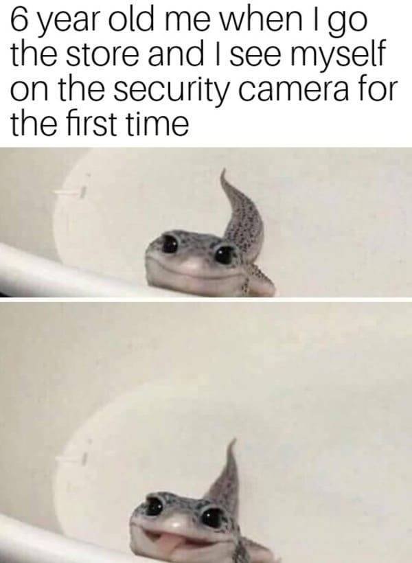 Wholesome Memes (28 pics)