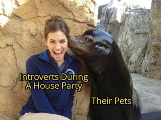 Wholesome Memes (28 pics)