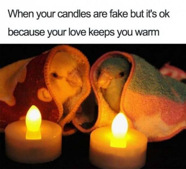 Wholesome Memes (28 pics)