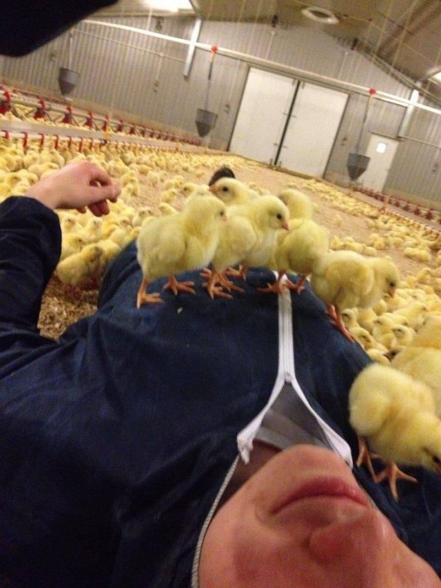 Acid Picdump 2 (78 pics)