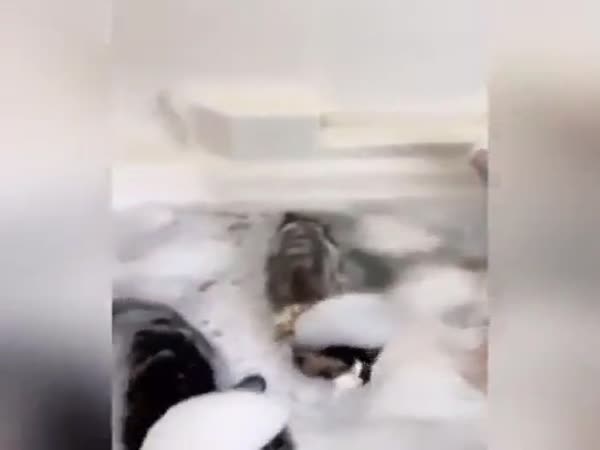 It's A Bath Time
