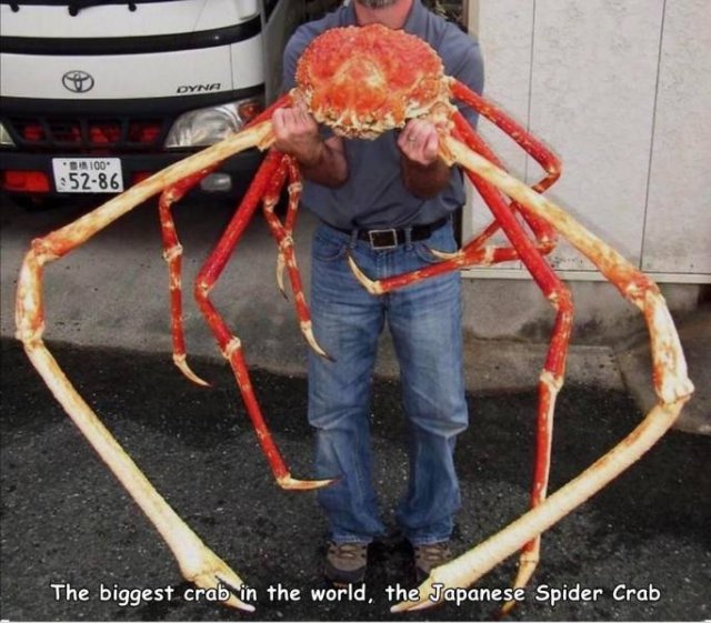 Acid Picdump 2 (75 pics)