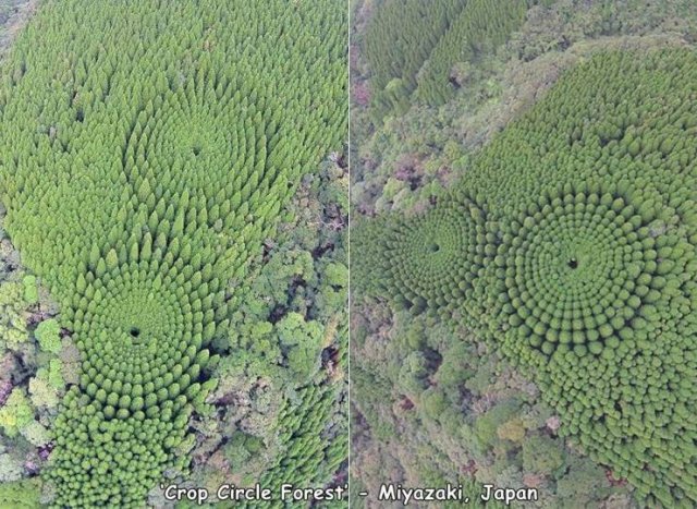 Acid Picdump 2 (75 pics)