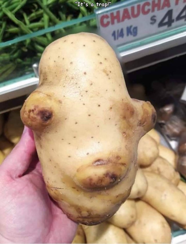 Acid Picdump 2 (75 pics)