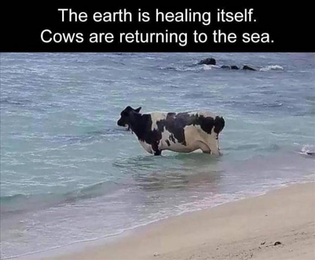 Random Funny Memes (76 pics)