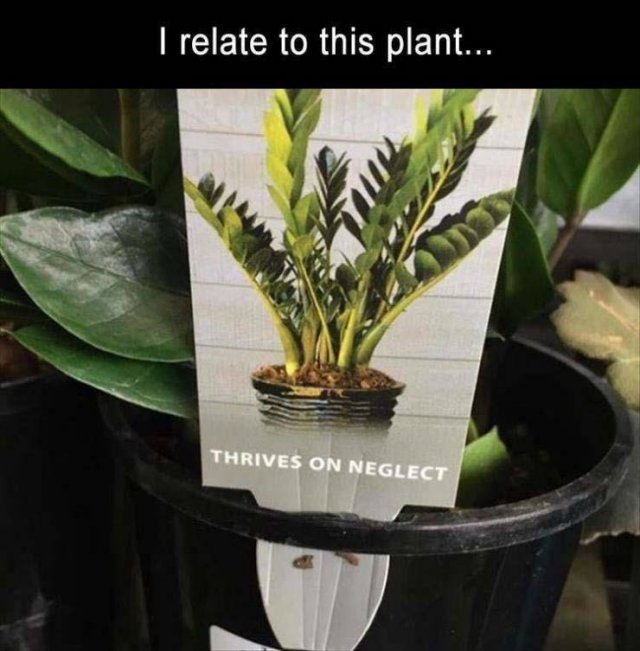 Random Funny Memes (76 pics)