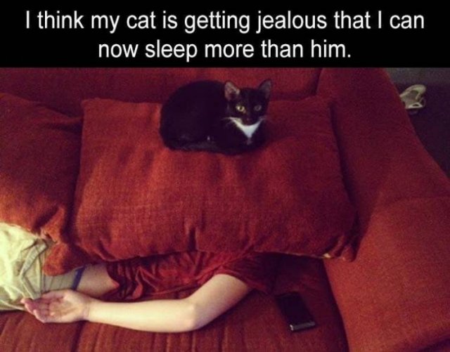 Random Funny Memes (76 pics)