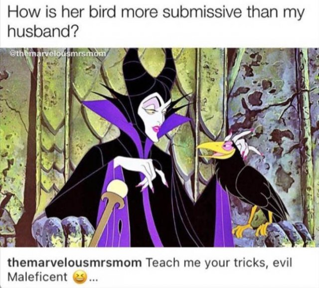 Random Funny Memes (76 pics)