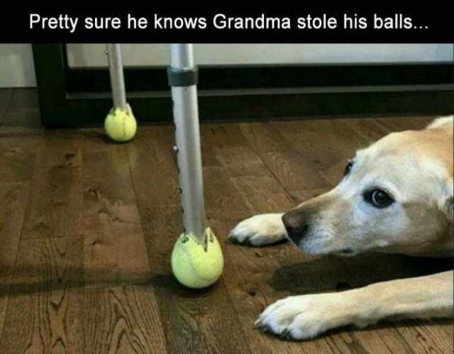 Random Funny Memes (76 pics)