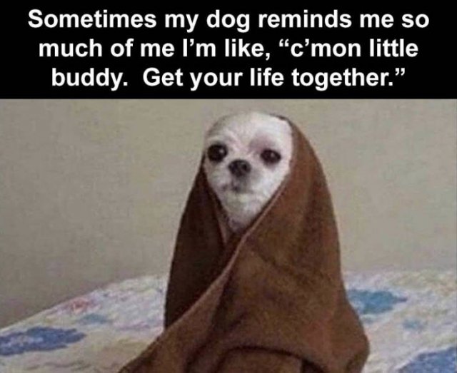 Random Funny Memes (76 pics)