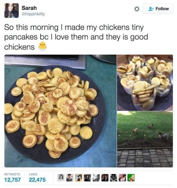 Breakfast Memes And Tweets (31 pics)