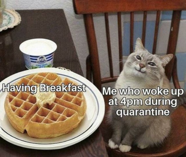 Breakfast Memes And Tweets (31 pics)