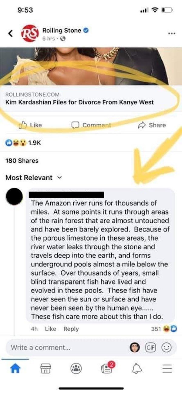 Roasting Comments (22 pics)