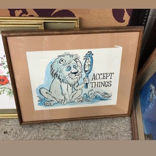 Thrift Shop Finds (29 pics)
