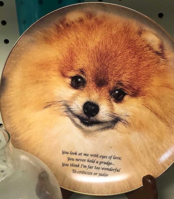 Thrift Shop Finds (29 pics)