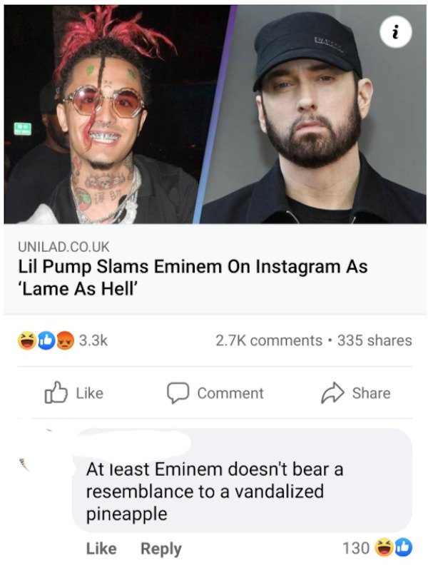 Roasting Comments (22 pics)