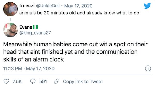 Roasting Comments (22 pics)