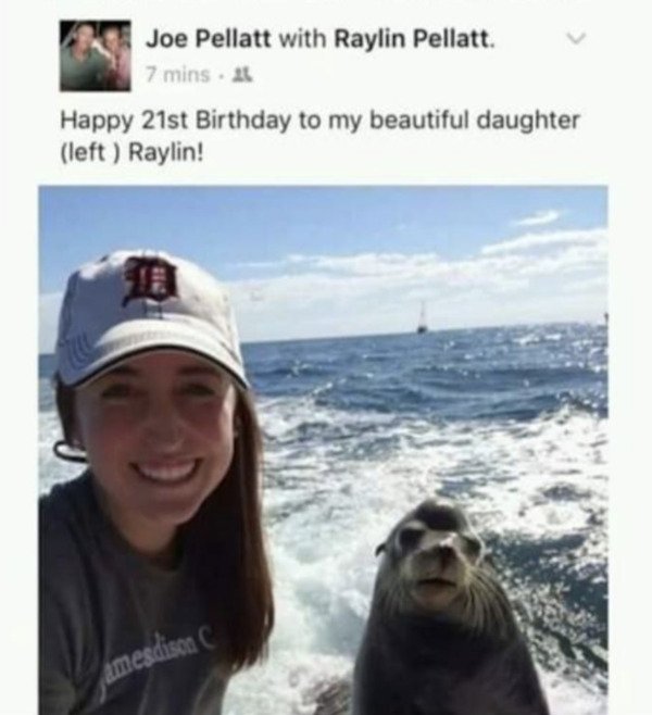 Roasting Comments (22 pics)