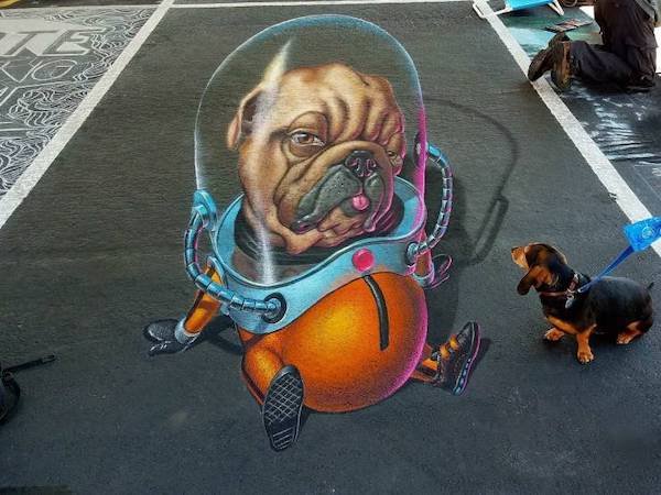 Very Talented People (35 pics)