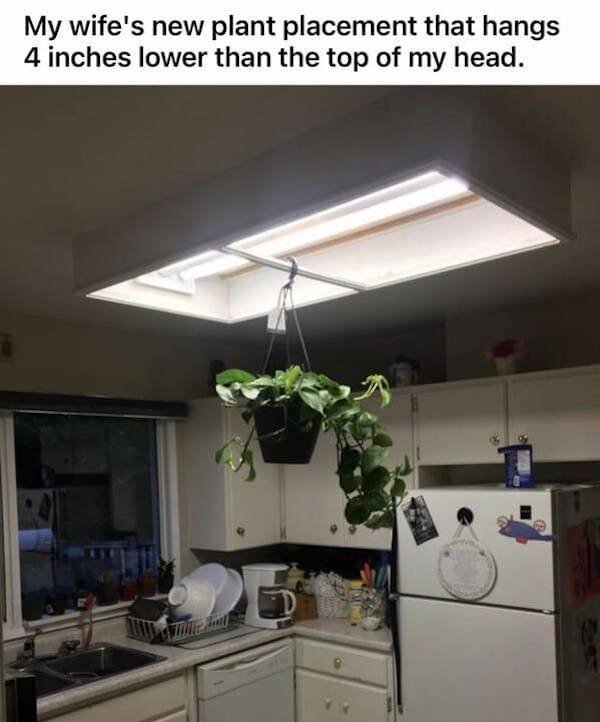 What's Wrong With Your Partner? (37 pics)