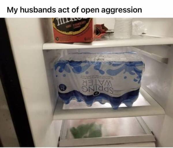 What's Wrong With Your Partner? (37 pics)