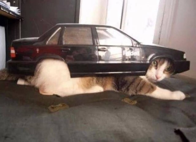 Acid Picdump 1 (84 pics)