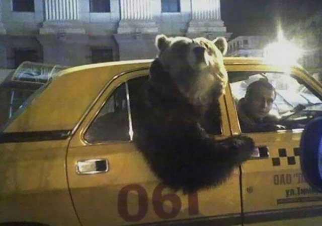 Acid Picdump 1 (84 pics)