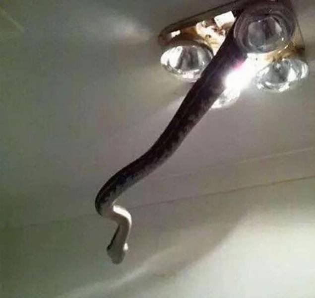 Acid Picdump 1 (84 pics)
