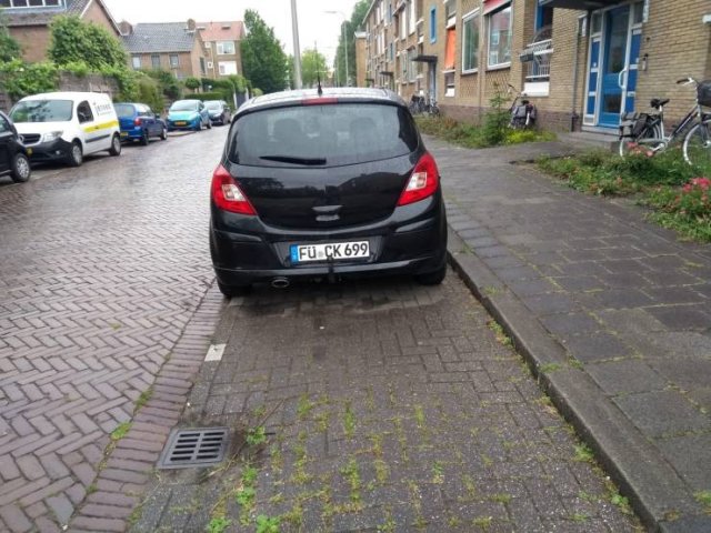 Acid Picdump 1 (84 pics)