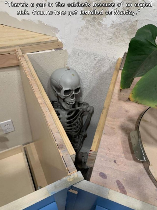 Acid Picdump 1 (84 pics)