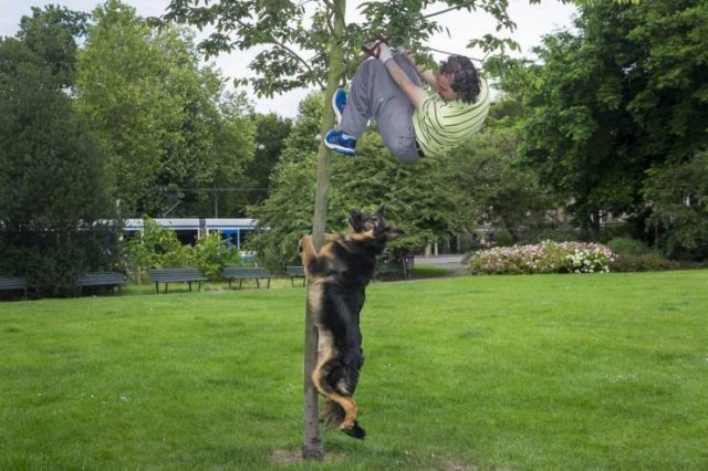 Acid Picdump 1 (84 pics)
