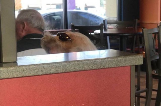 Acid Picdump 1 (84 pics)