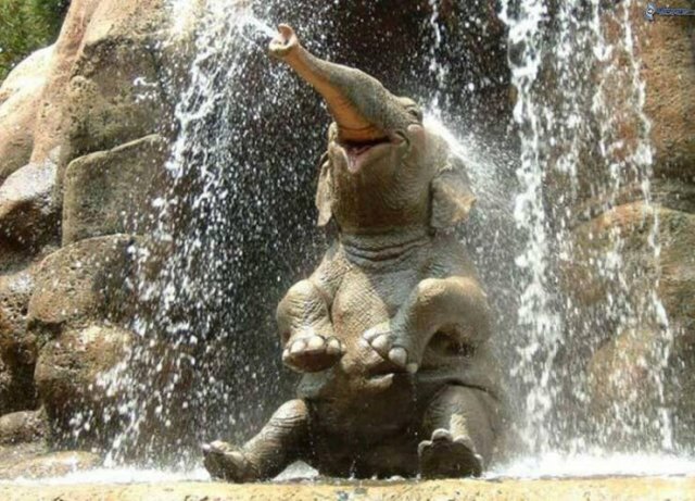 Acid Picdump 1 (84 pics)
