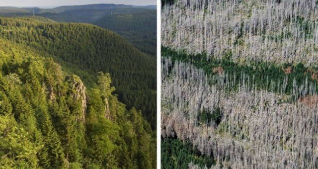 The Consequences Of Global Climate Changes (19 pics)