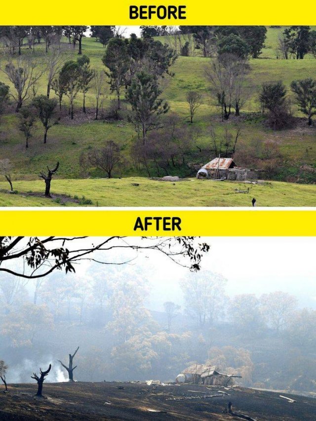 The Consequences Of Global Climate Changes (19 pics)